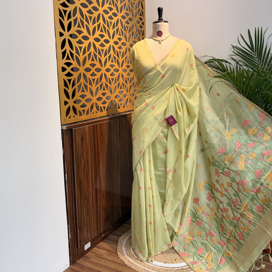 Pista Green Handloom Cotton Saree